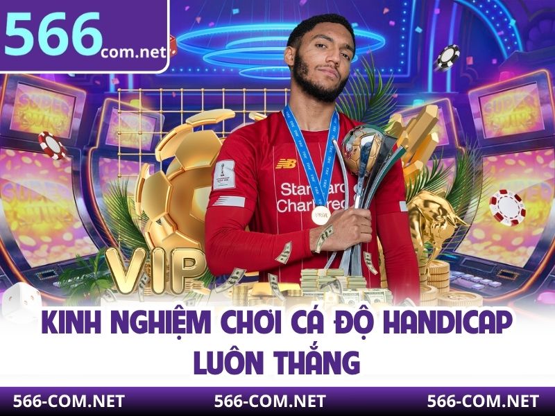 Kinh nghiệm chơi cá độ handicap luôn thắng